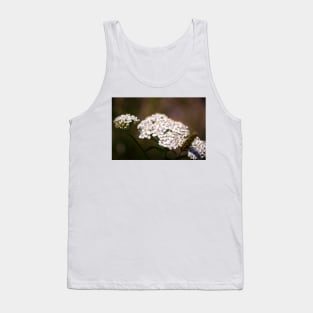 Close-up of yarrow flowers Tank Top